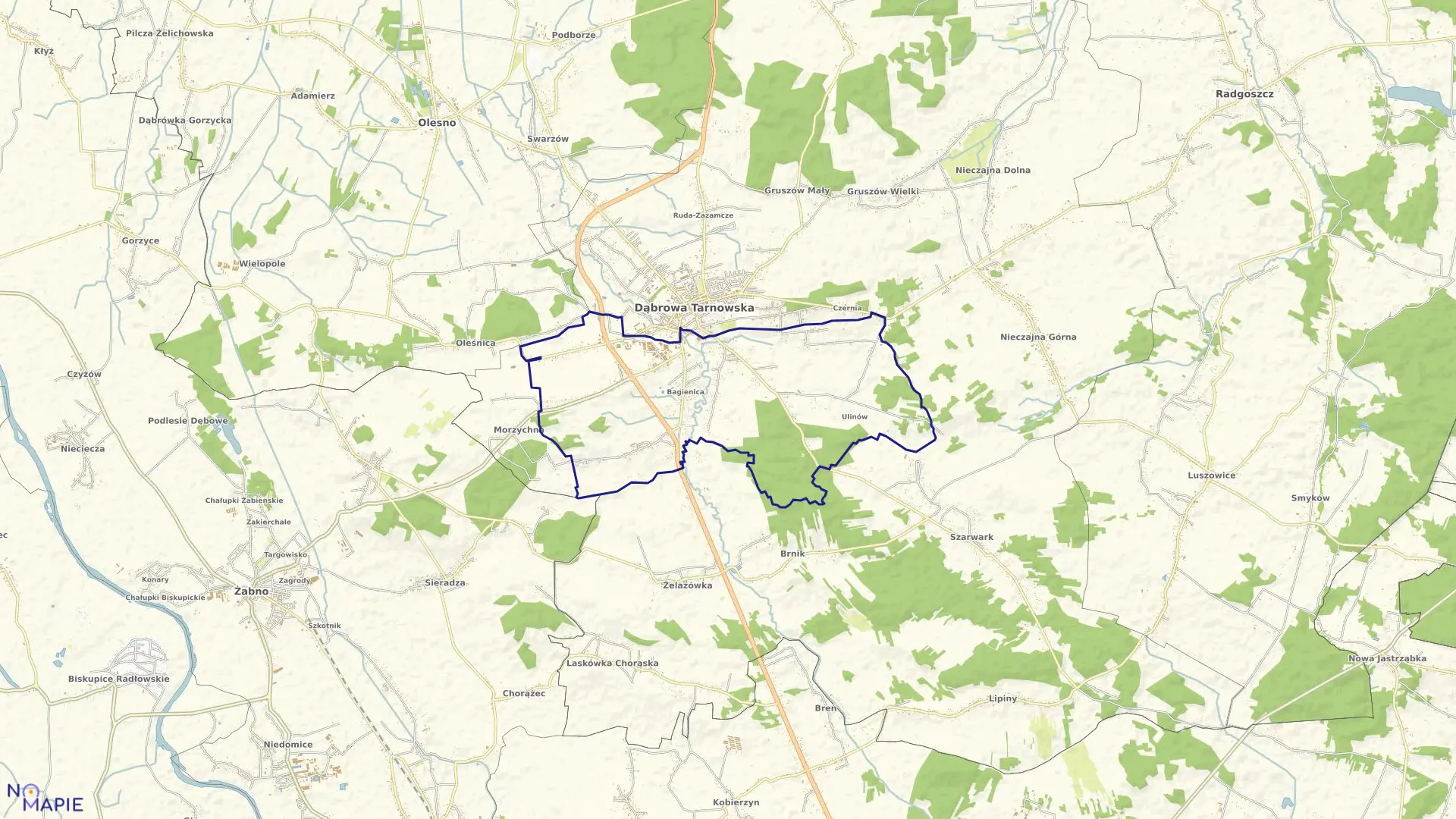 Mapa obrębu Bagienica w gminie Dąbrowa Tarnowska